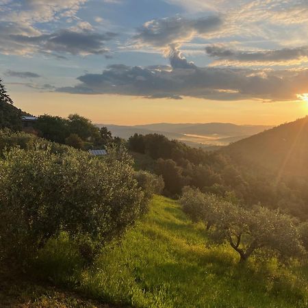 Poggio Ferrone Guest House Suvereto Exterior photo