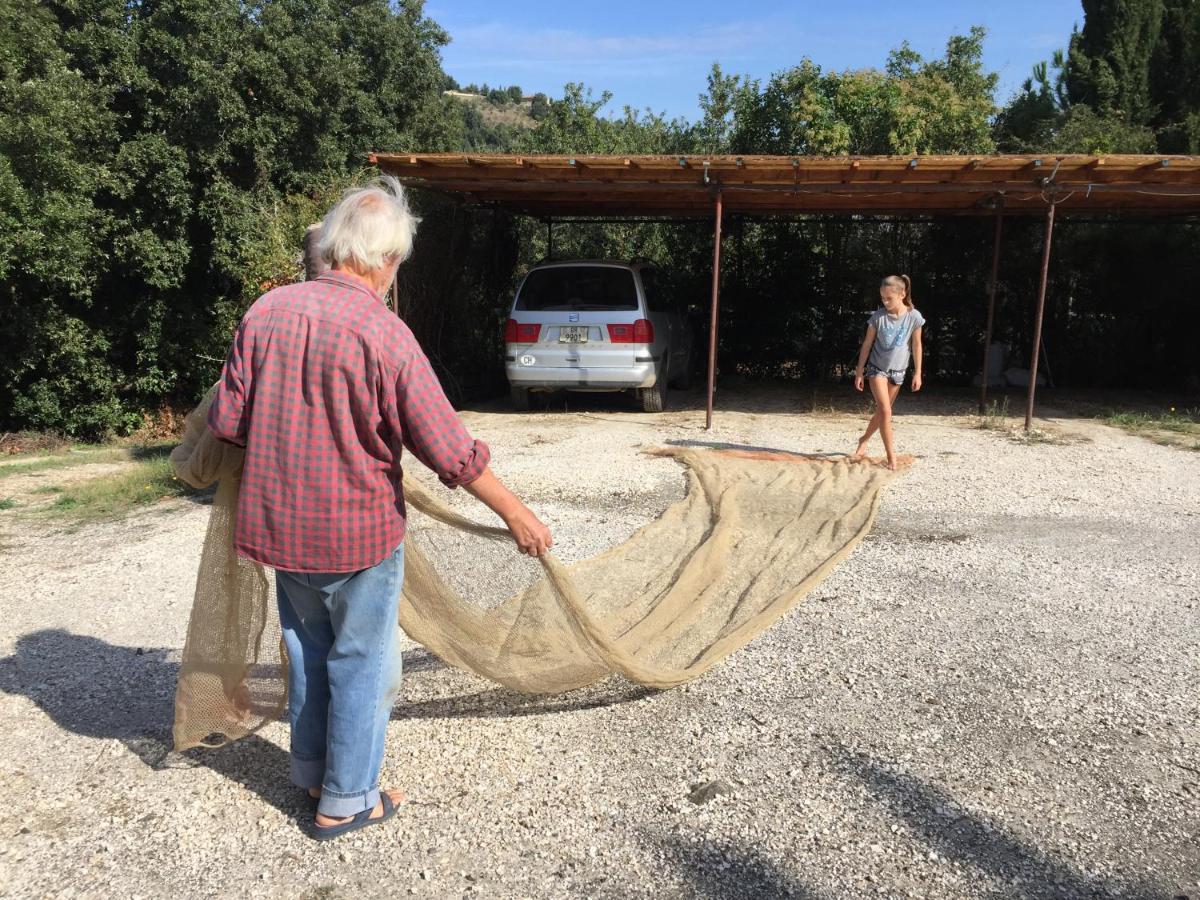 Poggio Ferrone Guest House Suvereto Exterior photo