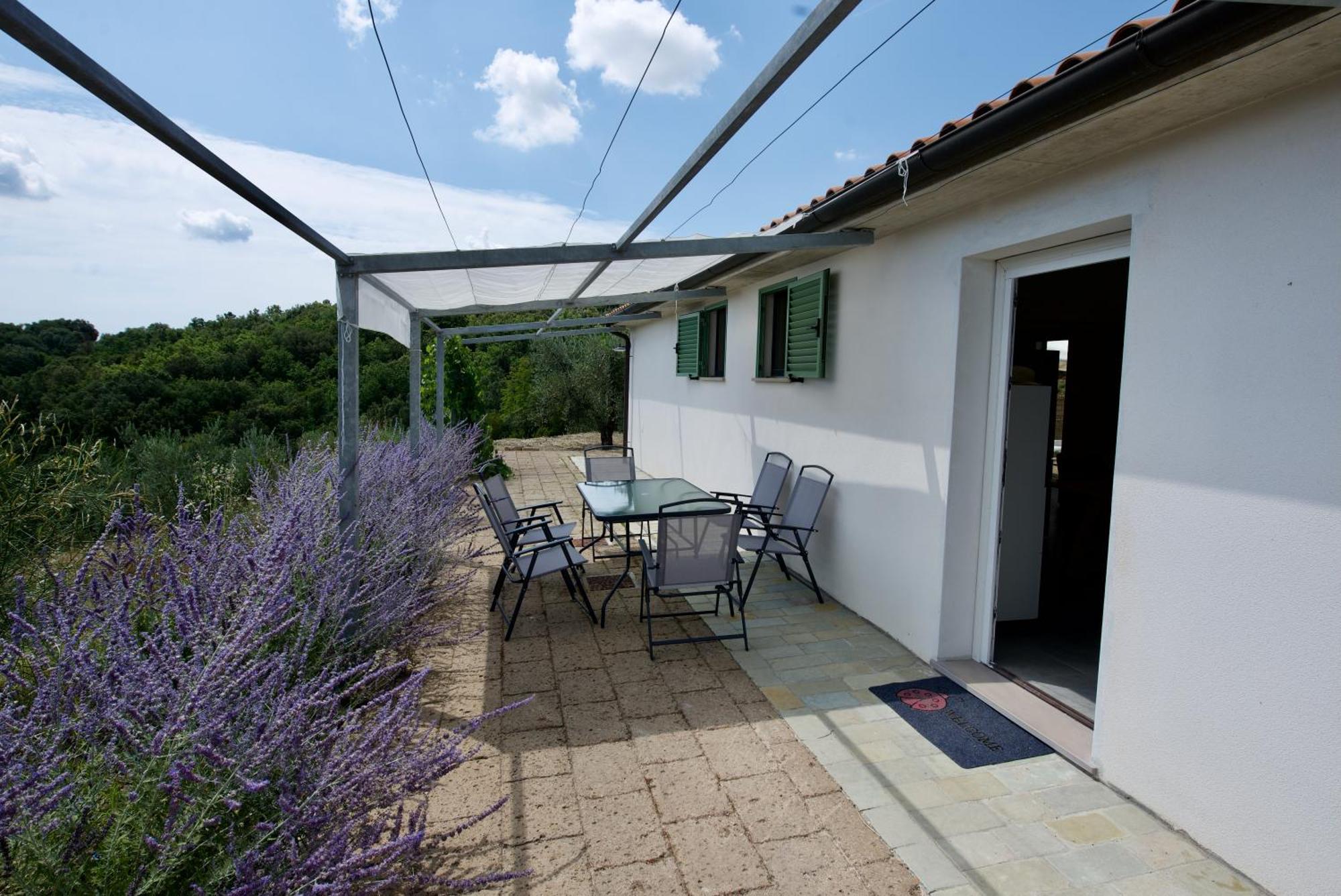 Poggio Ferrone Guest House Suvereto Exterior photo