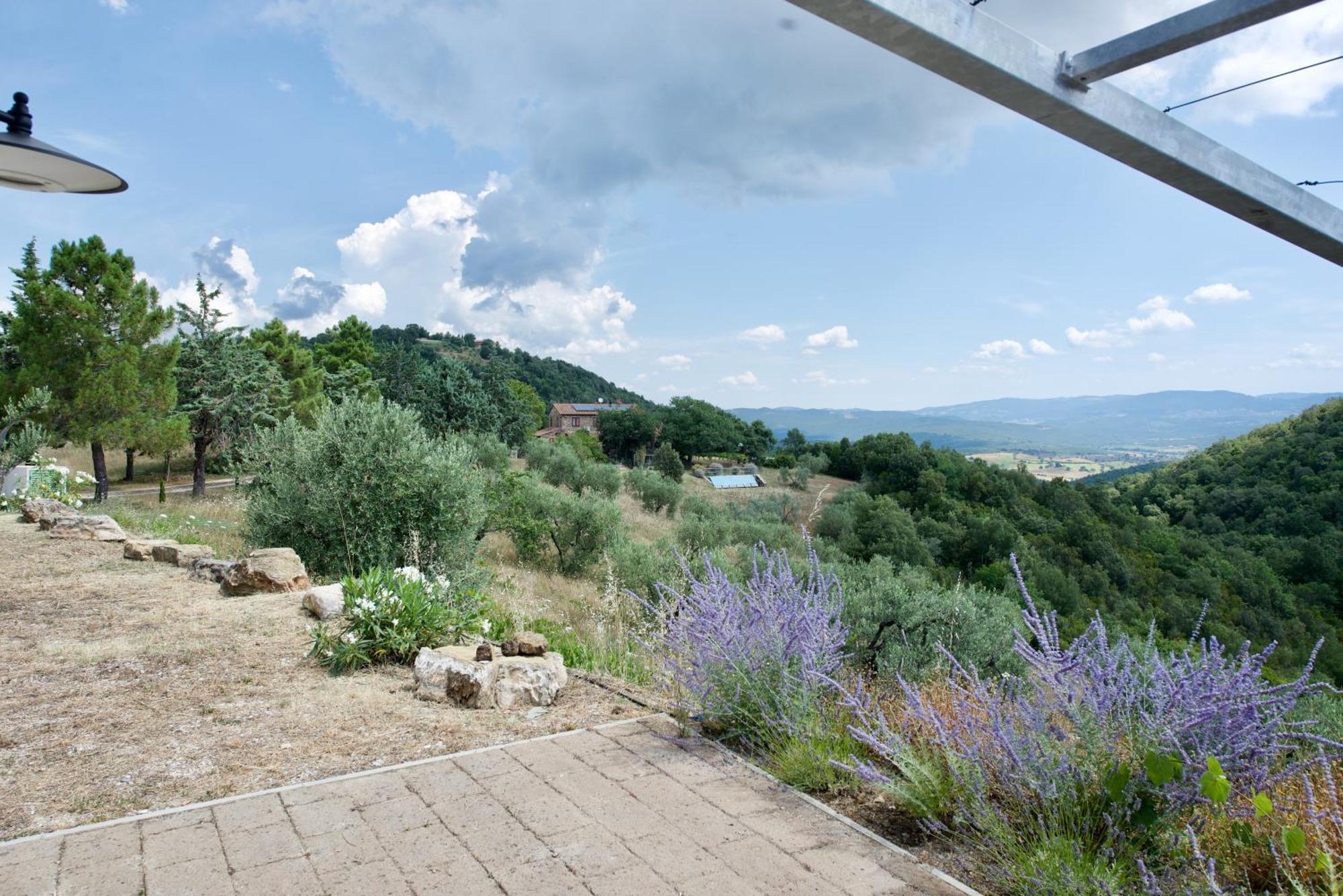 Poggio Ferrone Guest House Suvereto Exterior photo
