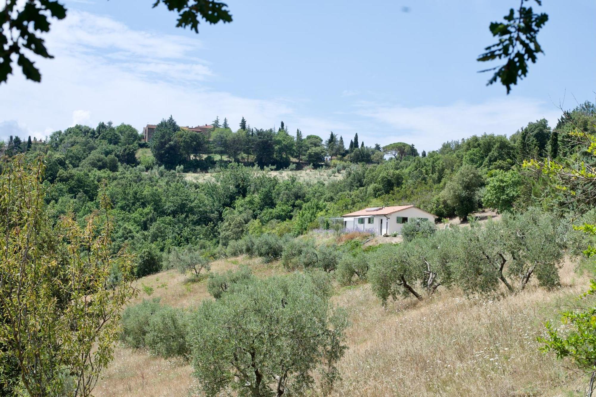 Poggio Ferrone Guest House Suvereto Exterior photo
