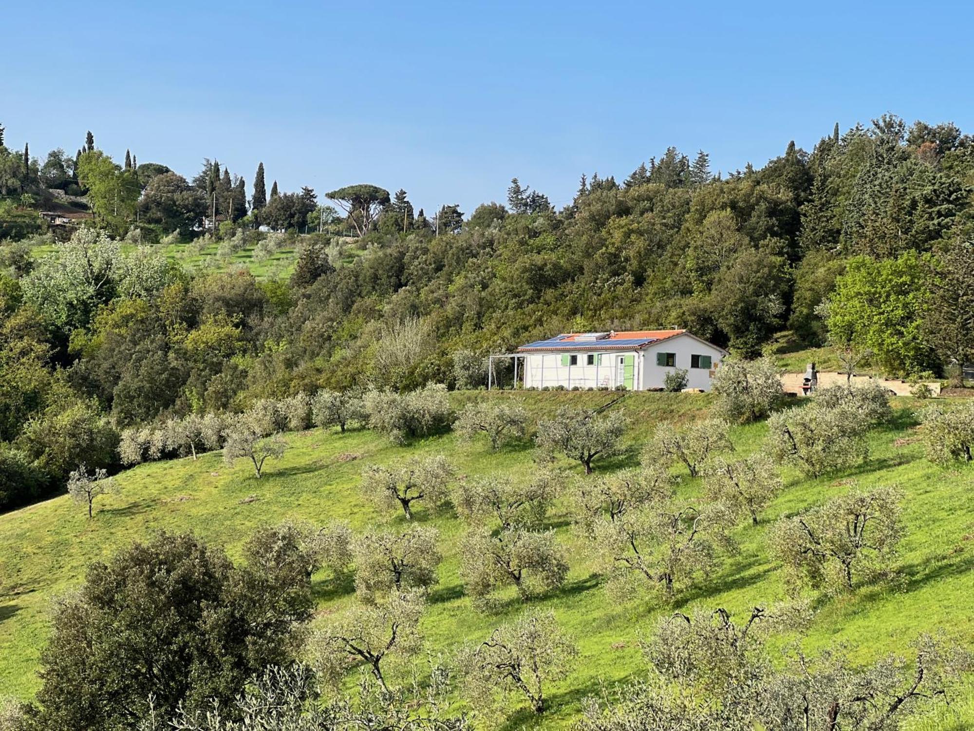 Poggio Ferrone Guest House Suvereto Exterior photo