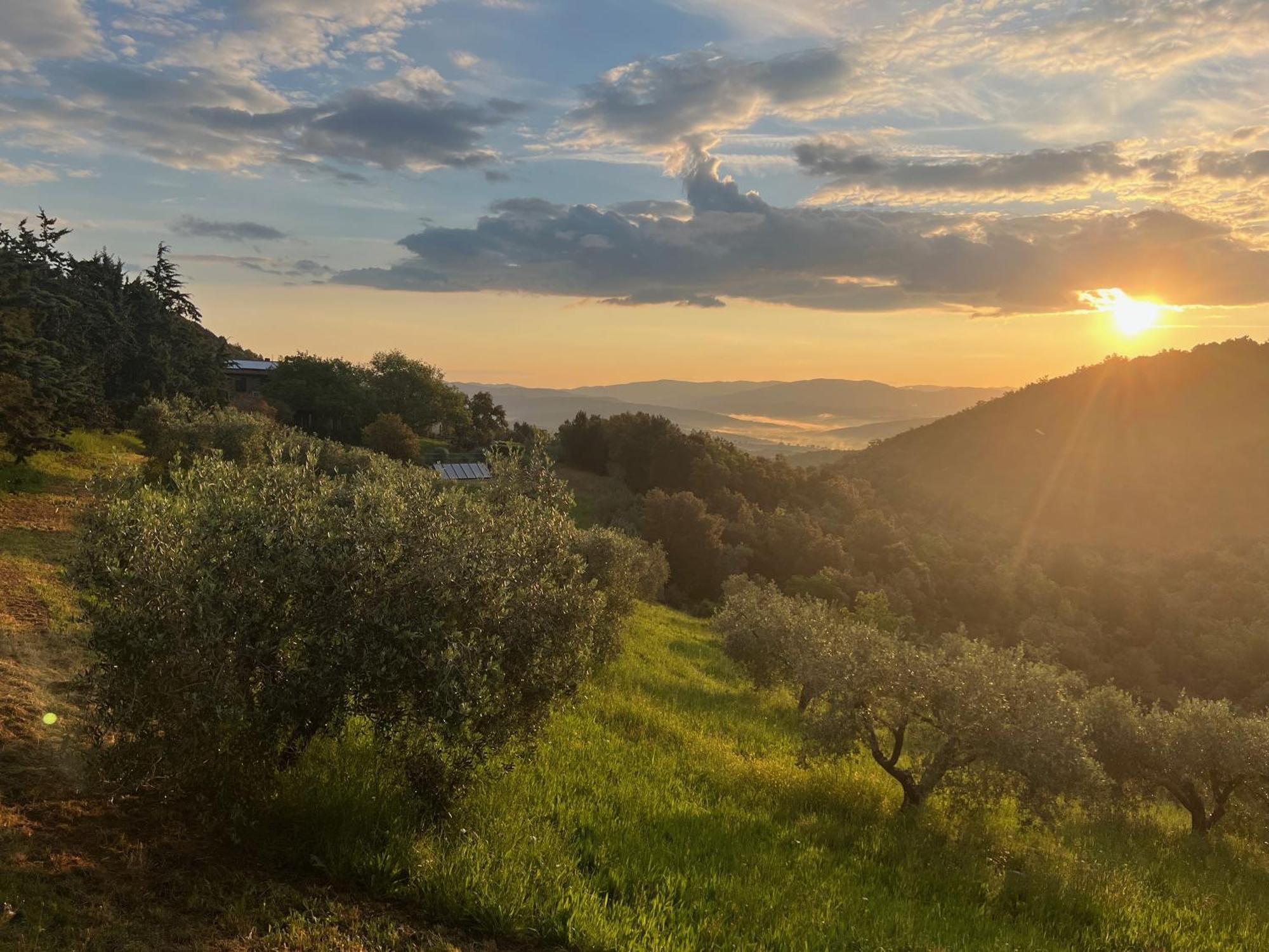 Poggio Ferrone Guest House Suvereto Exterior photo